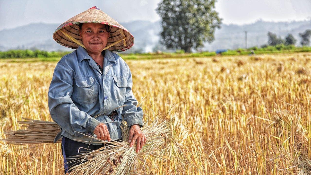 Pentingnya Agroindustri Pertanian di Trenggalek Dukung Ketahanan Pangan